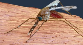 malaria research paper pdf