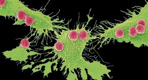 crispr gene editing research paper crispr gene editing research paper