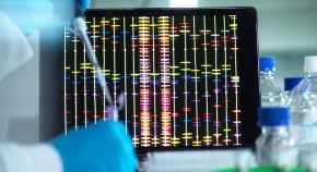 this research data this research data