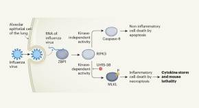 thesis topics in virology