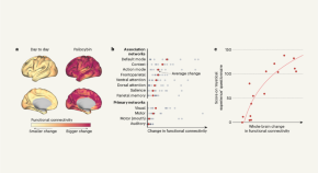 current psychiatry research and reviews current psychiatry research and reviews