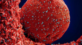 covid 19 disease research paper covid 19 disease research paper