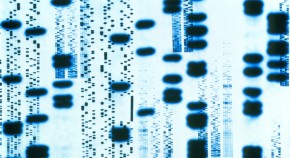 research papers on health science research papers on health science