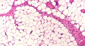 best websites for science articles best websites for science articles