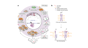 ノンコーディングRNA: RNA分子の全体像を俯瞰する (DOJIN BIOSCIENCE SERIES) (DOJIN BIOSCIENCE SERIES 25) ノンコーディングRNA : RNA分子の全体像を俯瞰する (DOJIN