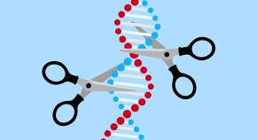 new research on genetic conditions