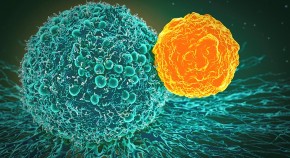 recent research on cancer immunotherapy