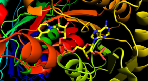 Microscopy image of coacervate microdroplets