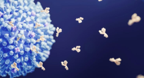A close-up of a virus.