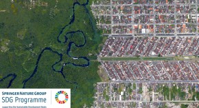 Urban Sustainability in the Global