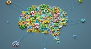 Gears in the shape of a brain