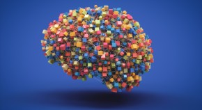 colorful brain made of cubes  