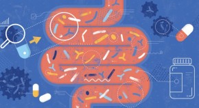 Intestinal tract with microbes and drugs.