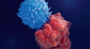 An engineered CAR T cell (blue) attacking a leukemia cell