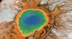 Heat-loving microorganism