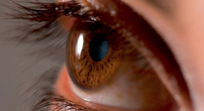 An eye