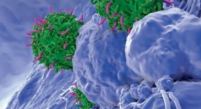 CAR-T cell therapies made in the body — for both cancer and autoimmune diseases — are quickly gaining ground. 