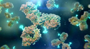 Collection of antibody–drug conjugates