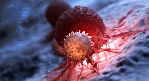 Human papillomavirus