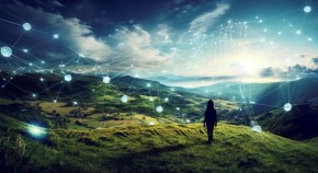 Landscape with network