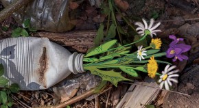 plastic water bottle on the ground with flowers growing out of it