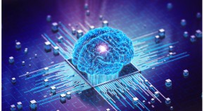 2D chips based on neuronal system