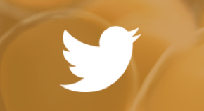 image of Twitter logo.