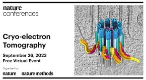 cryo-electron tomography image of cilia/transition zone