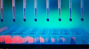 Automated pipetting of reagents into multiple wells in a high-throughput assay format.