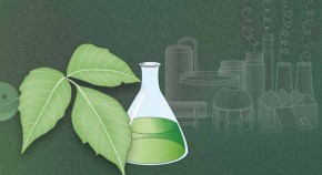 conical flask and leaves