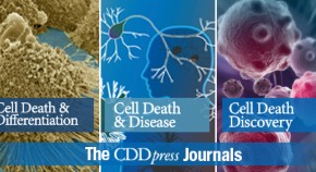 CDD press journal logos