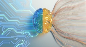 Circuitry connecting to the blue hemisphere of a brain, strings to the yellow hemisphere.