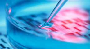 Genetic research, pipetting sample into petri dish with DNA results in background.