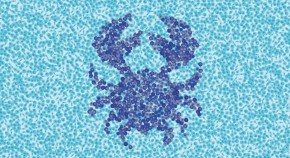 "crab" symbol formed from individual cancer cells 