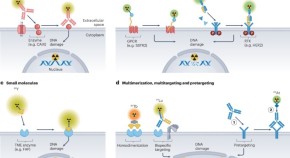 different types of antibodies with raioadtive payloads