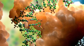 DNA–protein interactions