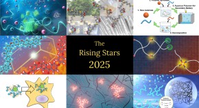 Rising Stars in Polymer Science 2025