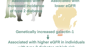 diabetes okára és kezelésére a nem hagyományos cukorbetegség kezelésében