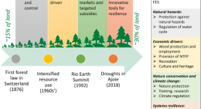 research on environmental management research on environmental management