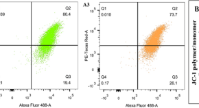 Plant Cell Reports Home