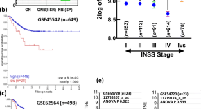 Cell Biology And Toxicology Home