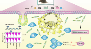 Cell Biology And Toxicology Home