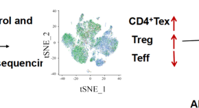 Cell Biology And Toxicology Home