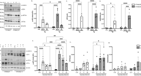 Nature Scientific Reports Impact Factor Bioxbio