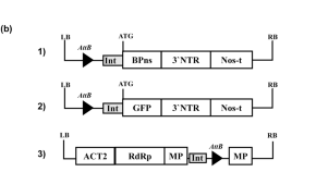 Plant Cell Tissue And Organ Culture Pctoc Online First Articles