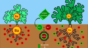research about environmental pollution research about environmental pollution