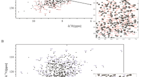 linalool nmr assignment linalool nmr assignment