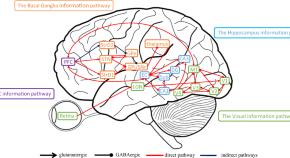 Cognitive Computation Home