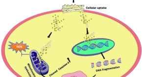 Journal Of Nanostructure In Chemistry Home