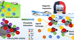Journal Of Nanostructure In Chemistry Home
